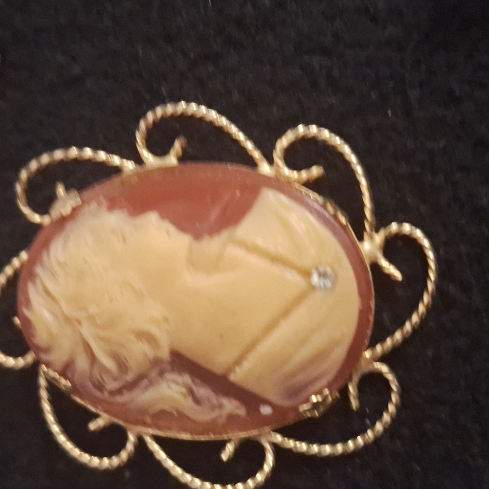 Cameo brooch